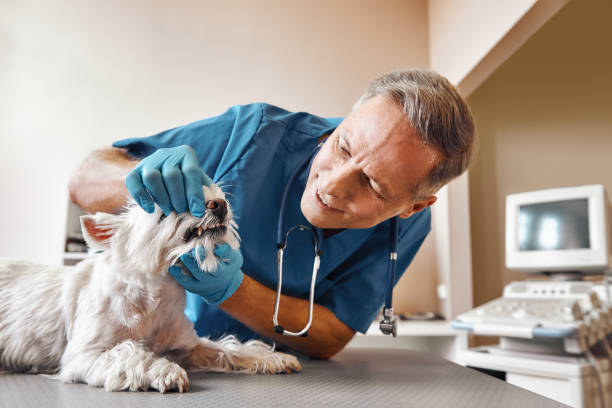 Best Walk-In Emergency Dentist in Byron, GA